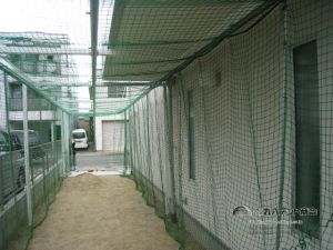 Case 6　お子様の野球練習におすすめ！
