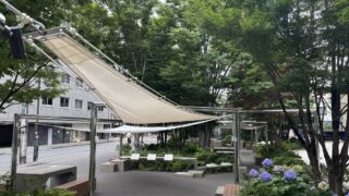タープテントを屋外スペースに設置